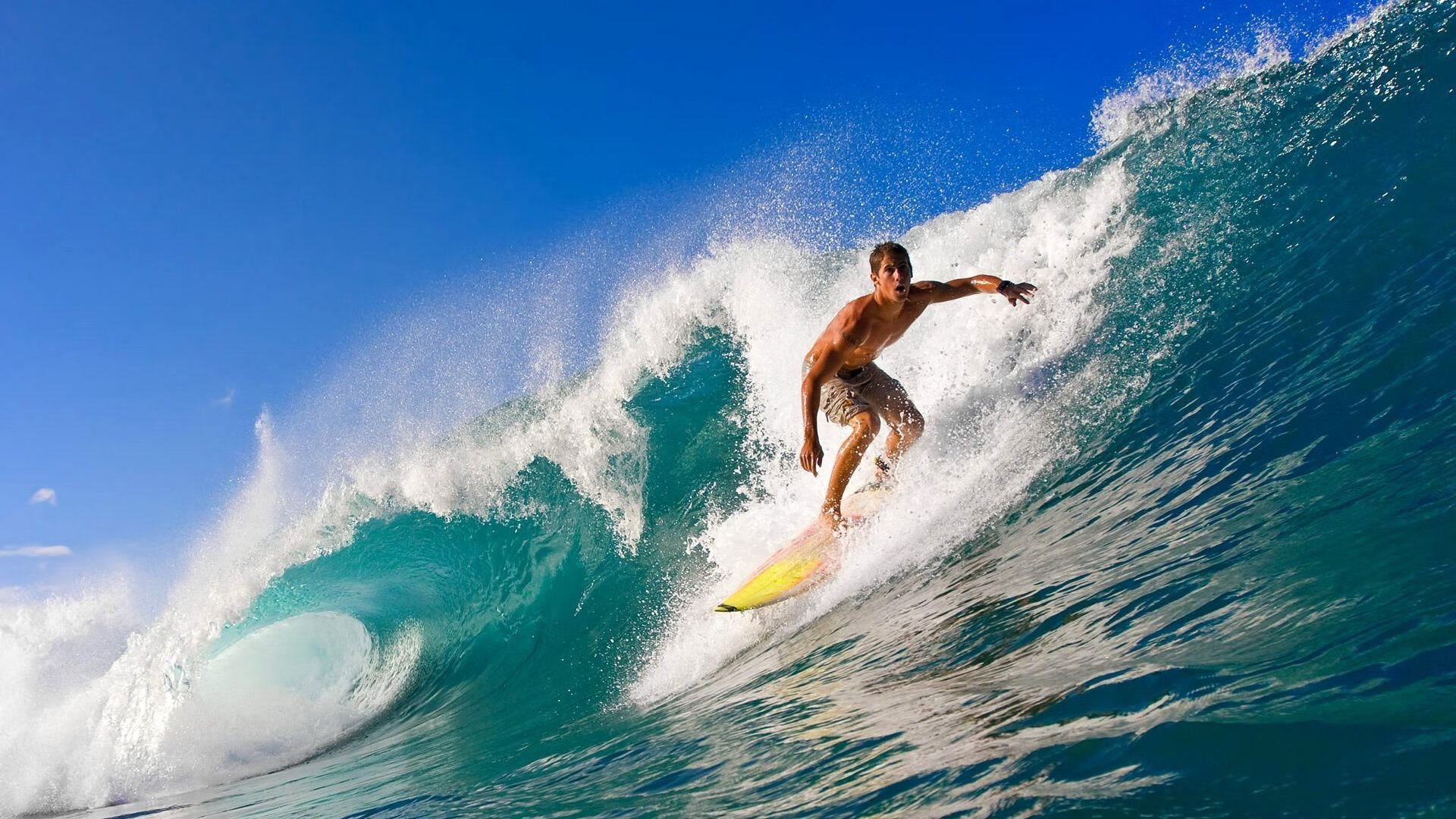 2026体育赛事冠军榜，2020体育赛历